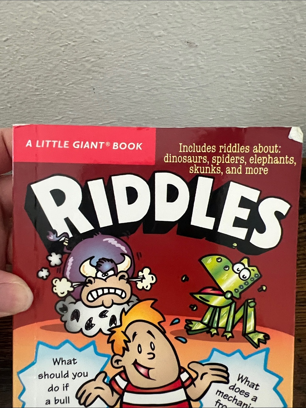 Little Giant Riddles Book Gift Kids - Picture 3 of 13